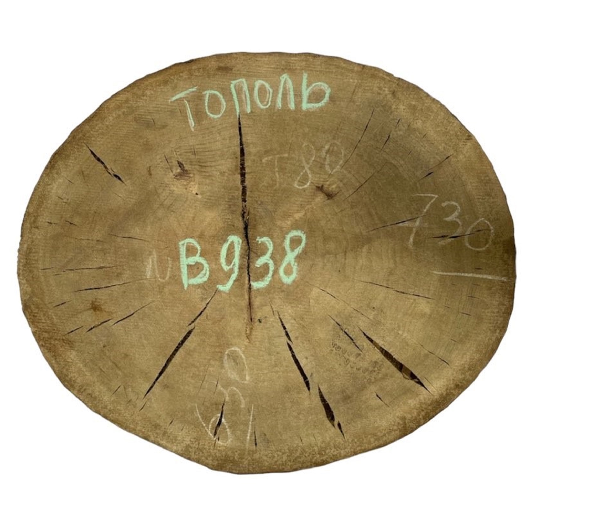 Слэбы и спилы деревьев - Спилы и слэбы из дерева купить в Москве, СПБ и Курске. У нас вы можете подобрать и купить слэб дуба, слэб карарагач и других пород дерева.