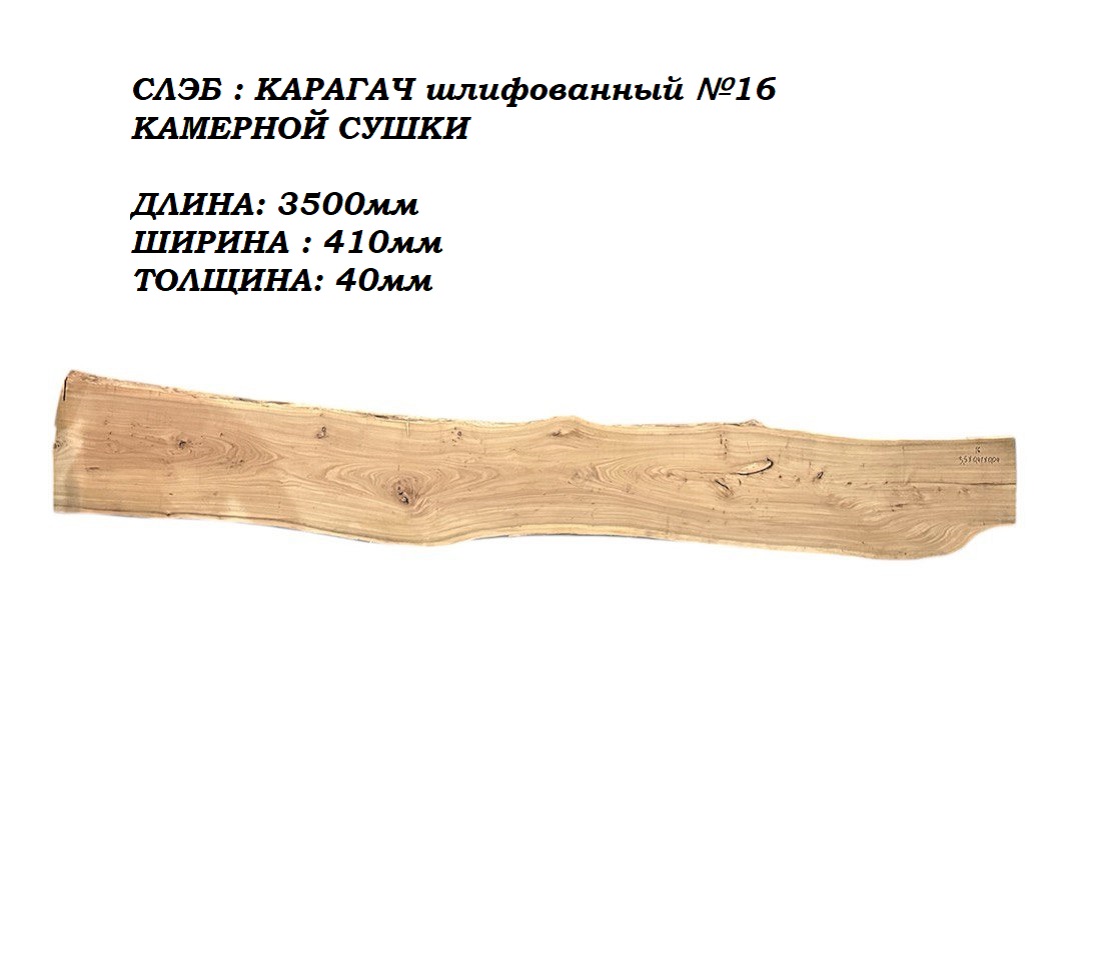 Слэбы и спилы деревьев - Спилы и слэбы из дерева купить в Москве, СПБ и Курске. У нас вы можете подобрать и купить слэб дуба, слэб карарагач и других пород дерева.