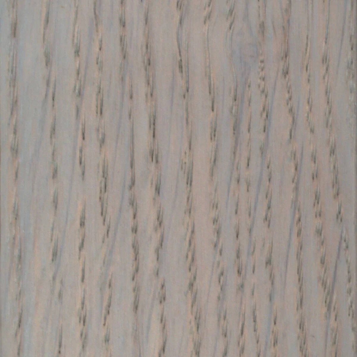 Масло тонирующее/грунтовочное Borma Grundieroil COLOR OIL / теплый серый (цв.03)