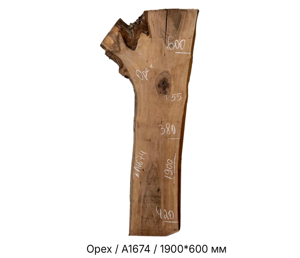 Слэбы и спилы деревьев - Спилы и слэбы из дерева купить в Москве, СПБ и Курске. У нас вы можете подобрать и купить слэб дуба, слэб карарагач и других пород дерева.