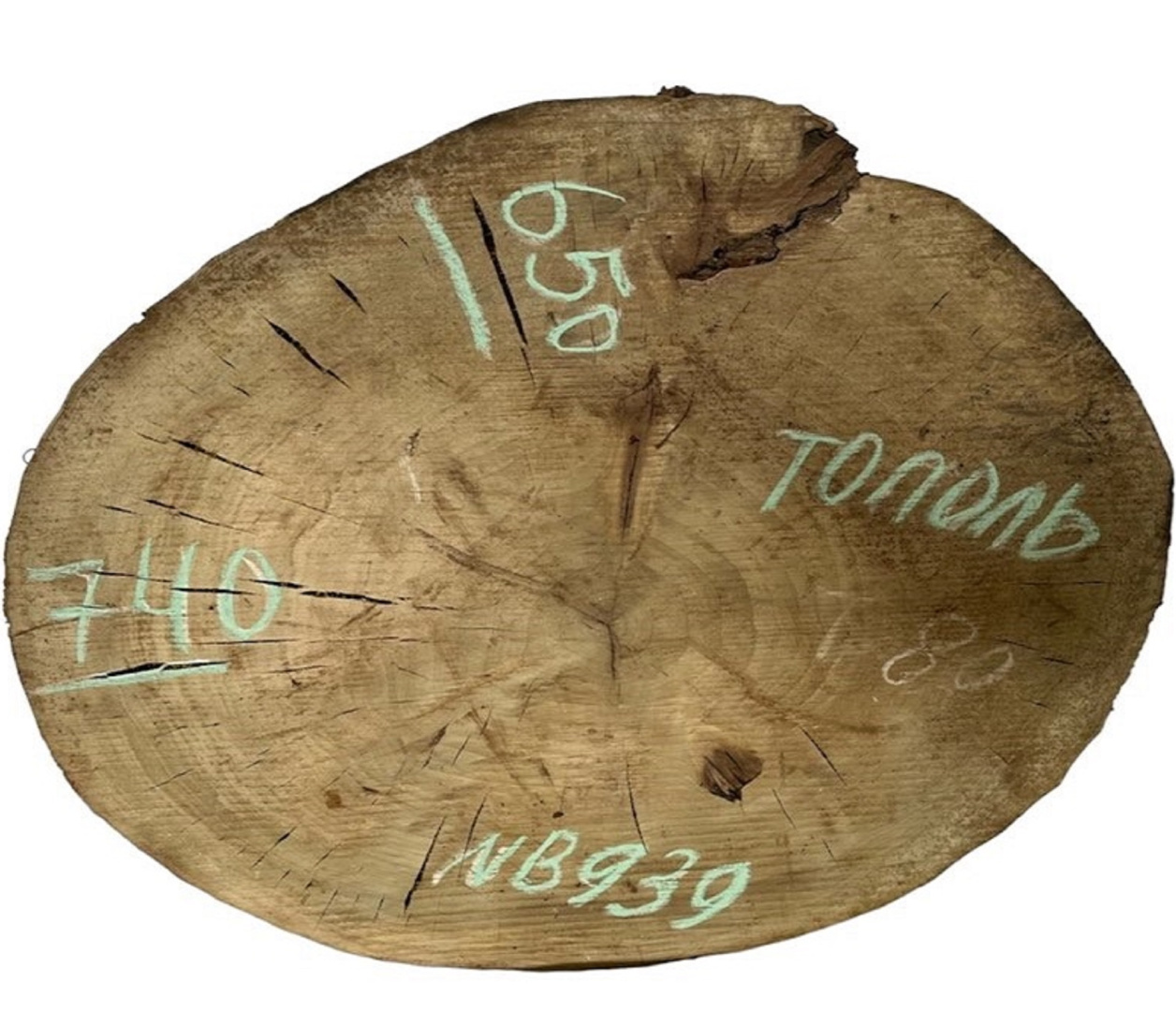 Слэбы и спилы деревьев - Спилы и слэбы из дерева купить в Москве, СПБ и Курске. У нас вы можете подобрать и купить слэб дуба, слэб карарагач и других пород дерева.