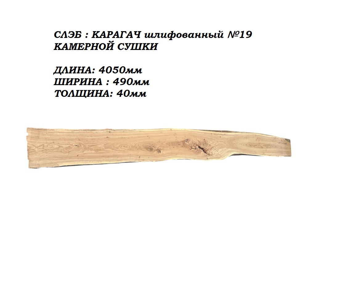 Слэбы и спилы деревьев - Спилы и слэбы из дерева купить в Москве, СПБ и Курске. У нас вы можете подобрать и купить слэб дуба, слэб карарагач и других пород дерева.