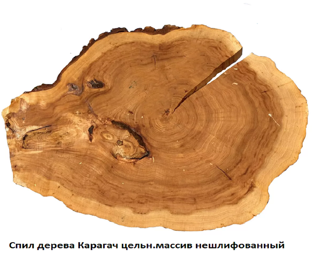 Слэбы и спилы деревьев - Спилы и слэбы из дерева купить в Москве, СПБ и Курске. У нас вы можете подобрать и купить слэб дуба, слэб карарагач и других пород дерева.