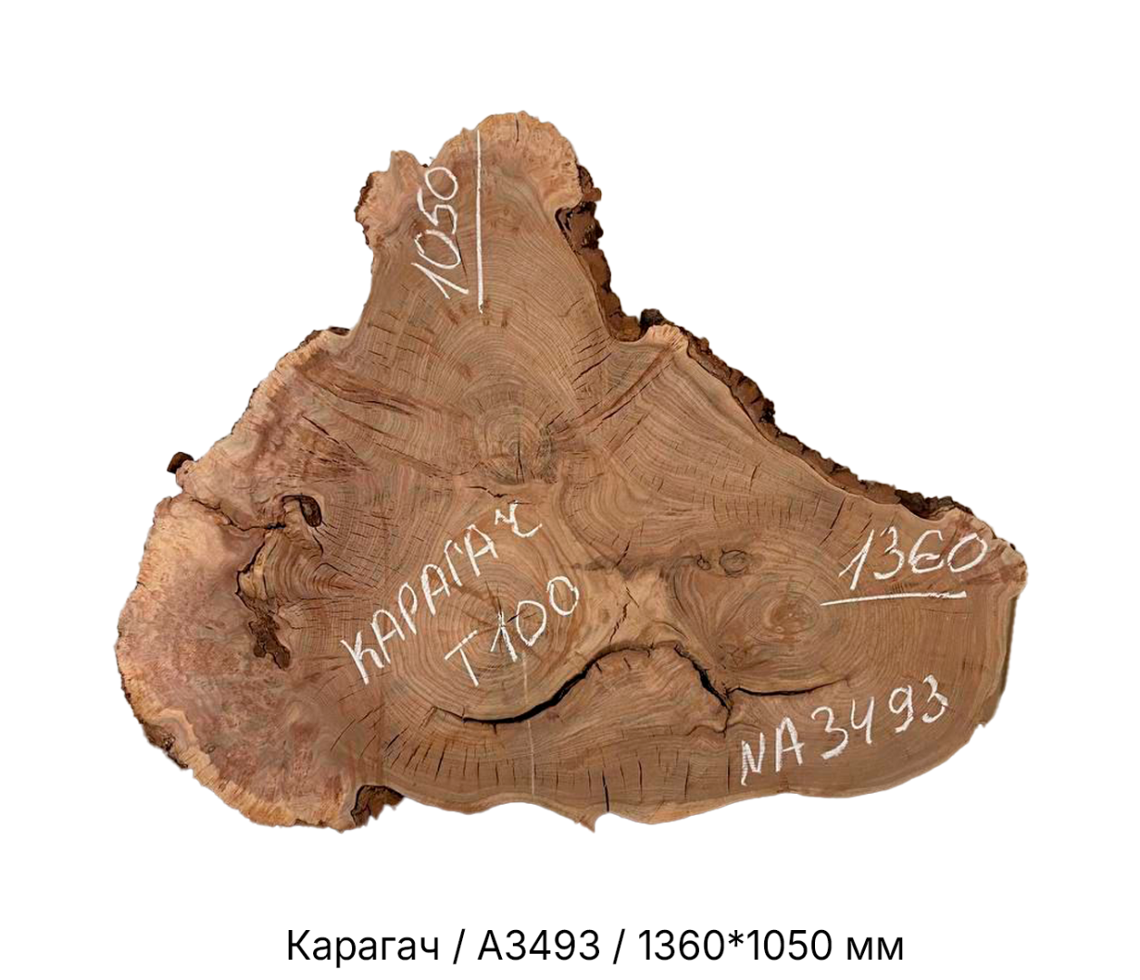 Слэбы и спилы деревьев - Спилы и слэбы из дерева купить в Москве, СПБ и Курске. У нас вы можете подобрать и купить слэб дуба, слэб карарагач и других пород дерева.