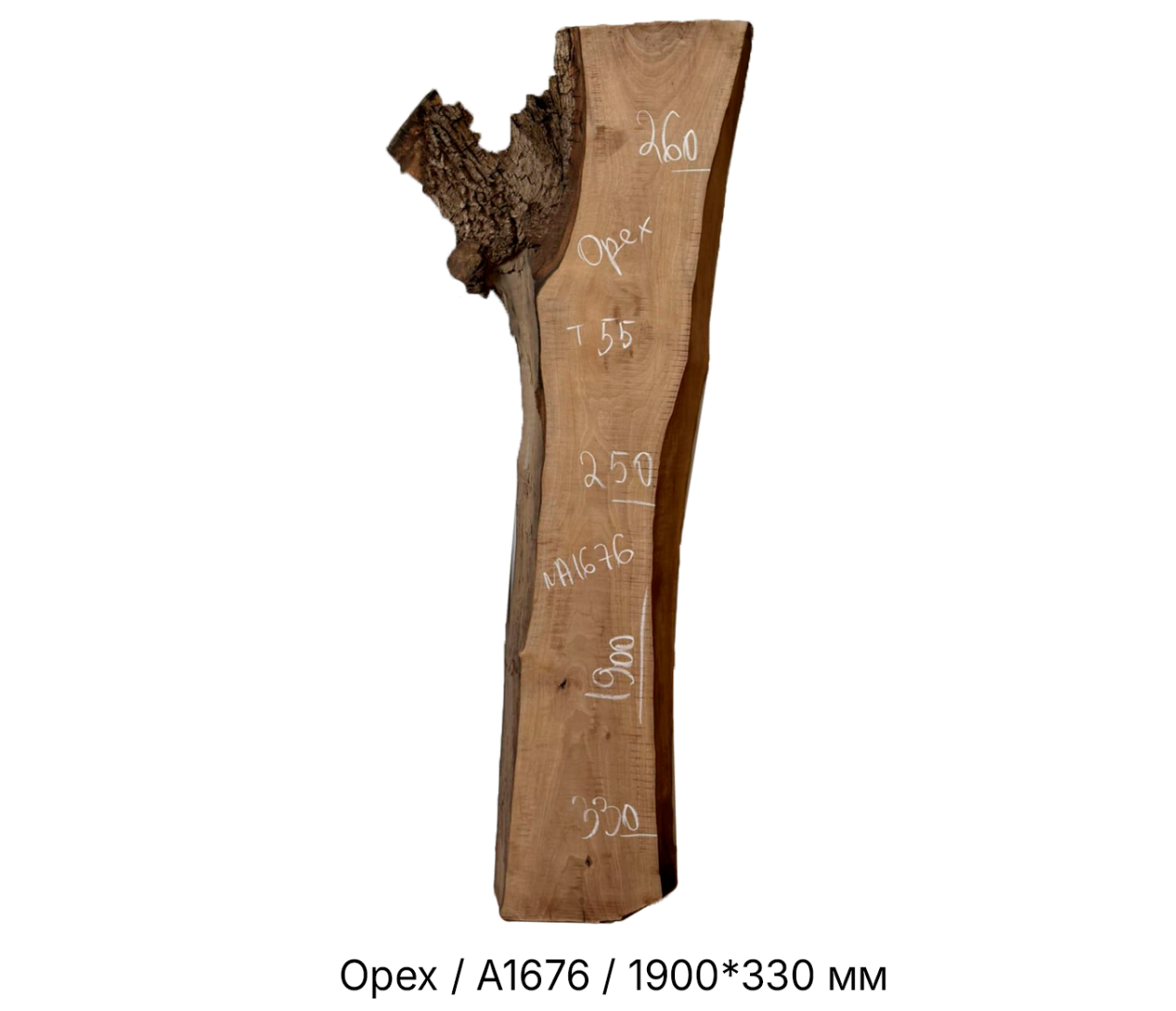 Слэбы и спилы деревьев - Спилы и слэбы из дерева купить в Москве, СПБ и Курске. У нас вы можете подобрать и купить слэб дуба, слэб карарагач и других пород дерева.