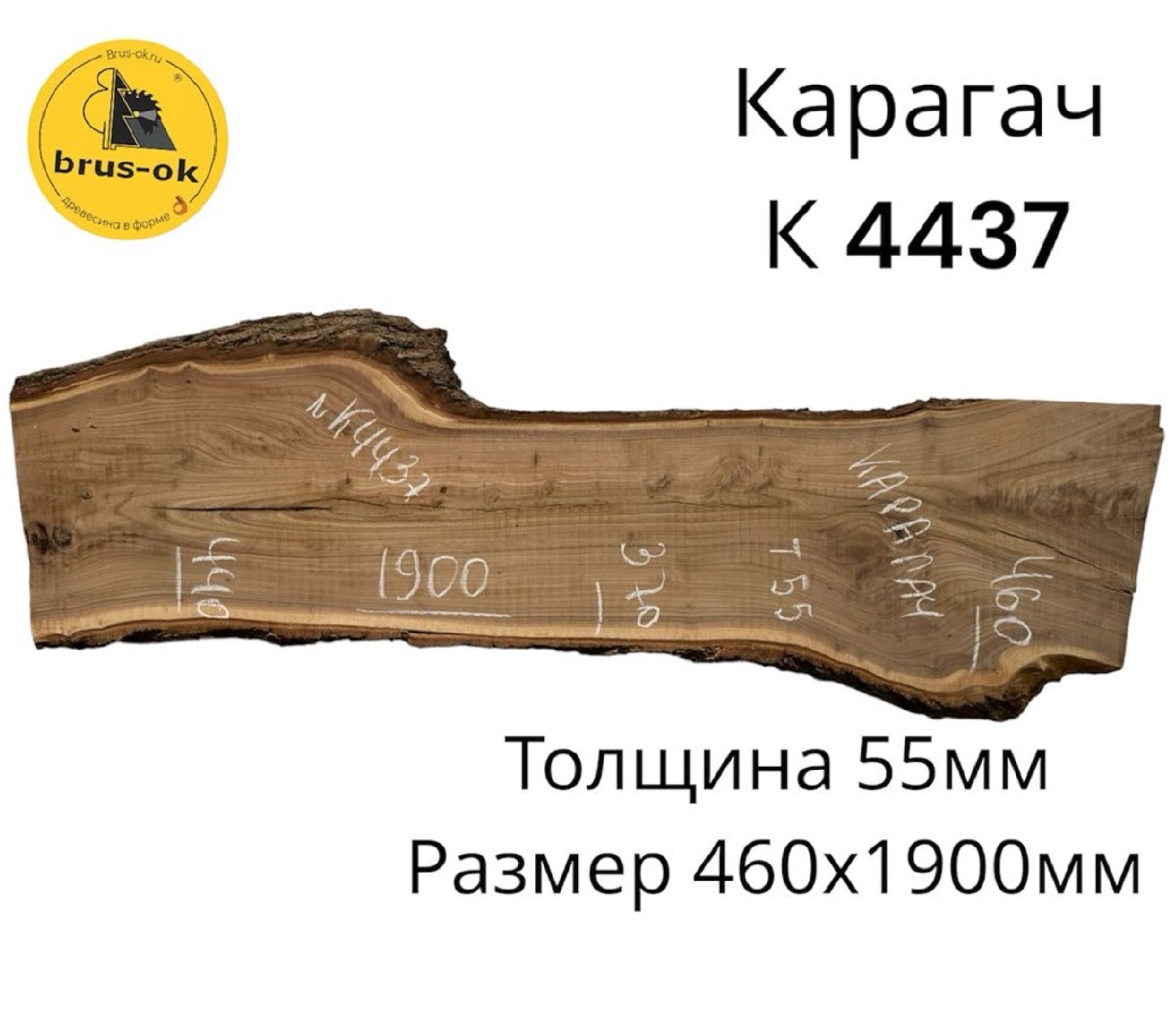 Слэбы и спилы деревьев - Спилы и слэбы из дерева купить в Москве, СПБ и Курске. У нас вы можете подобрать и купить слэб дуба, слэб карарагач и других пород дерева.