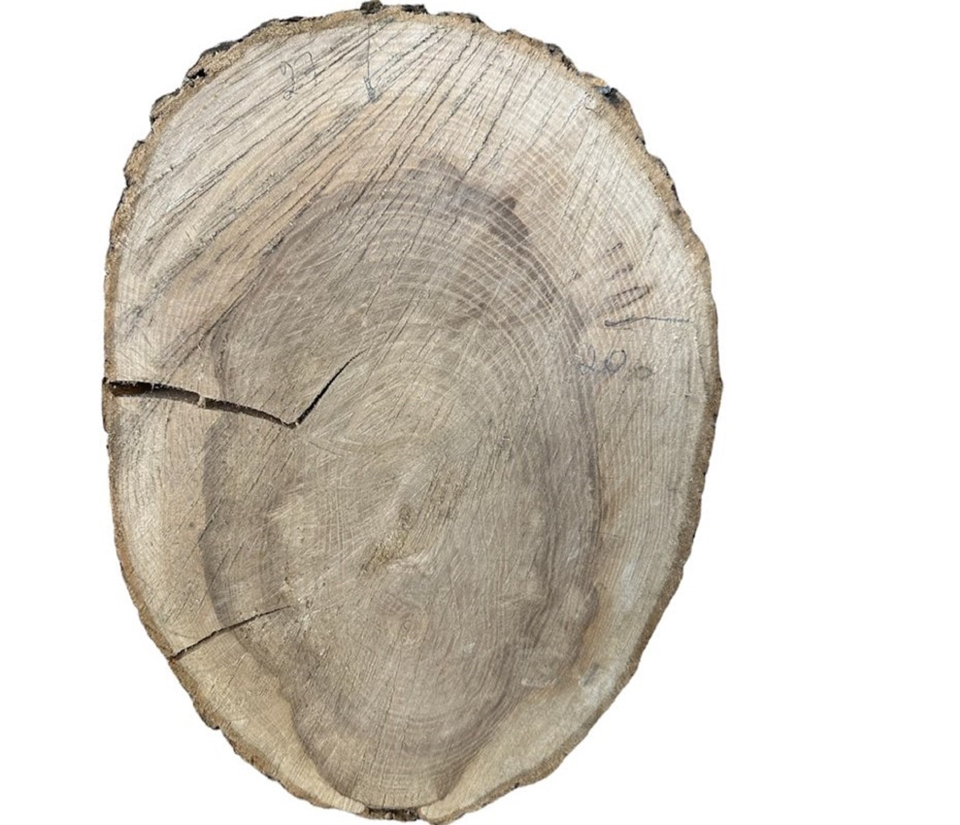 Слэбы и спилы деревьев - Спилы и слэбы из дерева купить в Москве, СПБ и Курске. У нас вы можете подобрать и купить слэб дуба, слэб карарагач и других пород дерева.