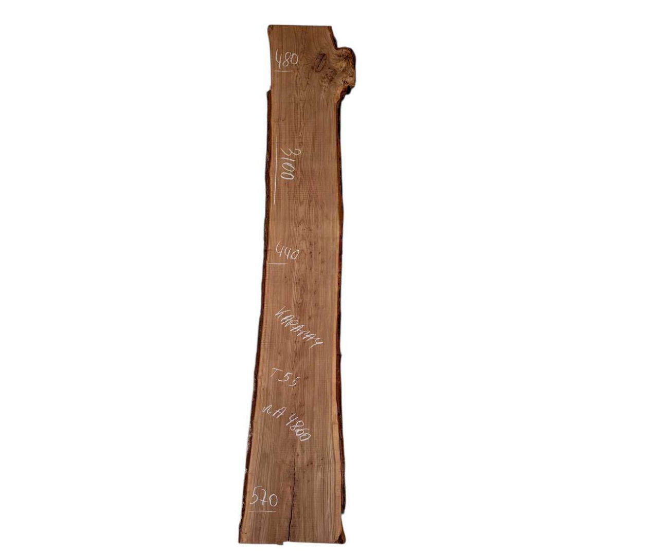 Слэбы и спилы деревьев - Спилы и слэбы из дерева купить в Москве, СПБ и Курске. У нас вы можете подобрать и купить слэб дуба, слэб карарагач и других пород дерева.