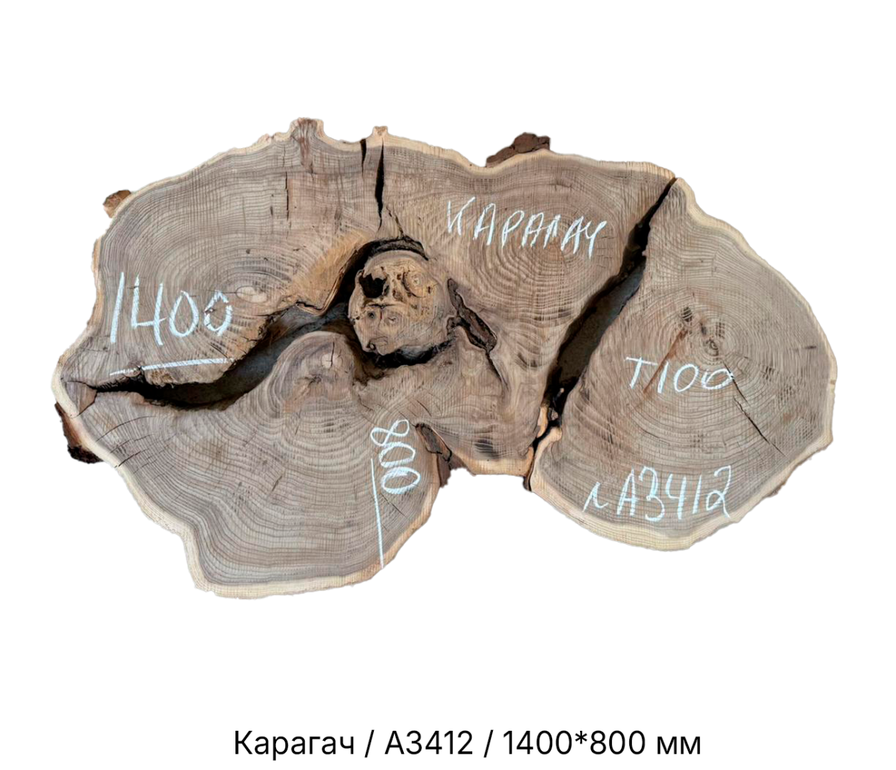 Слэбы и спилы деревьев - Спилы и слэбы из дерева купить в Москве, СПБ и Курске. У нас вы можете подобрать и купить слэб дуба, слэб карарагач и других пород дерева.