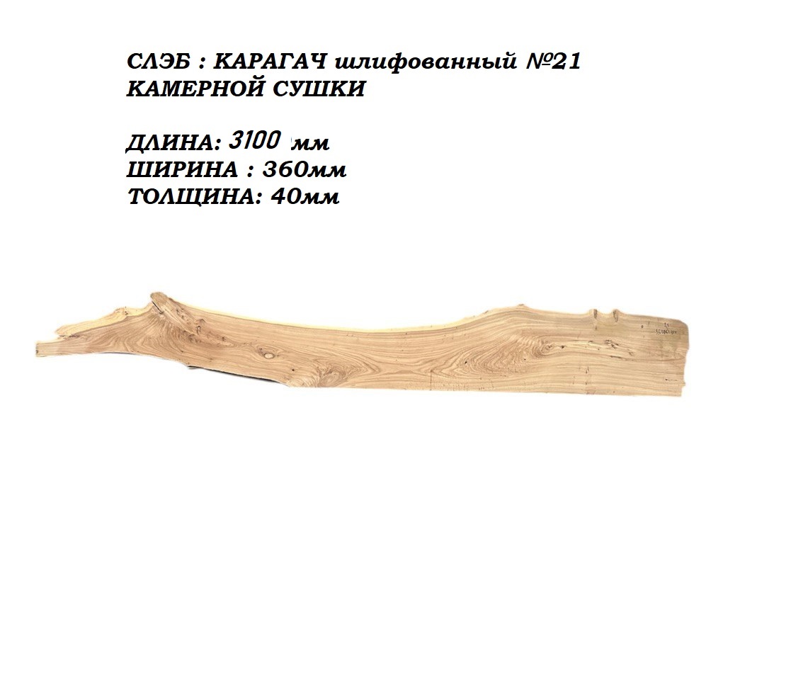 Слэбы и спилы деревьев - Спилы и слэбы из дерева купить в Москве, СПБ и Курске. У нас вы можете подобрать и купить слэб дуба, слэб карарагач и других пород дерева.