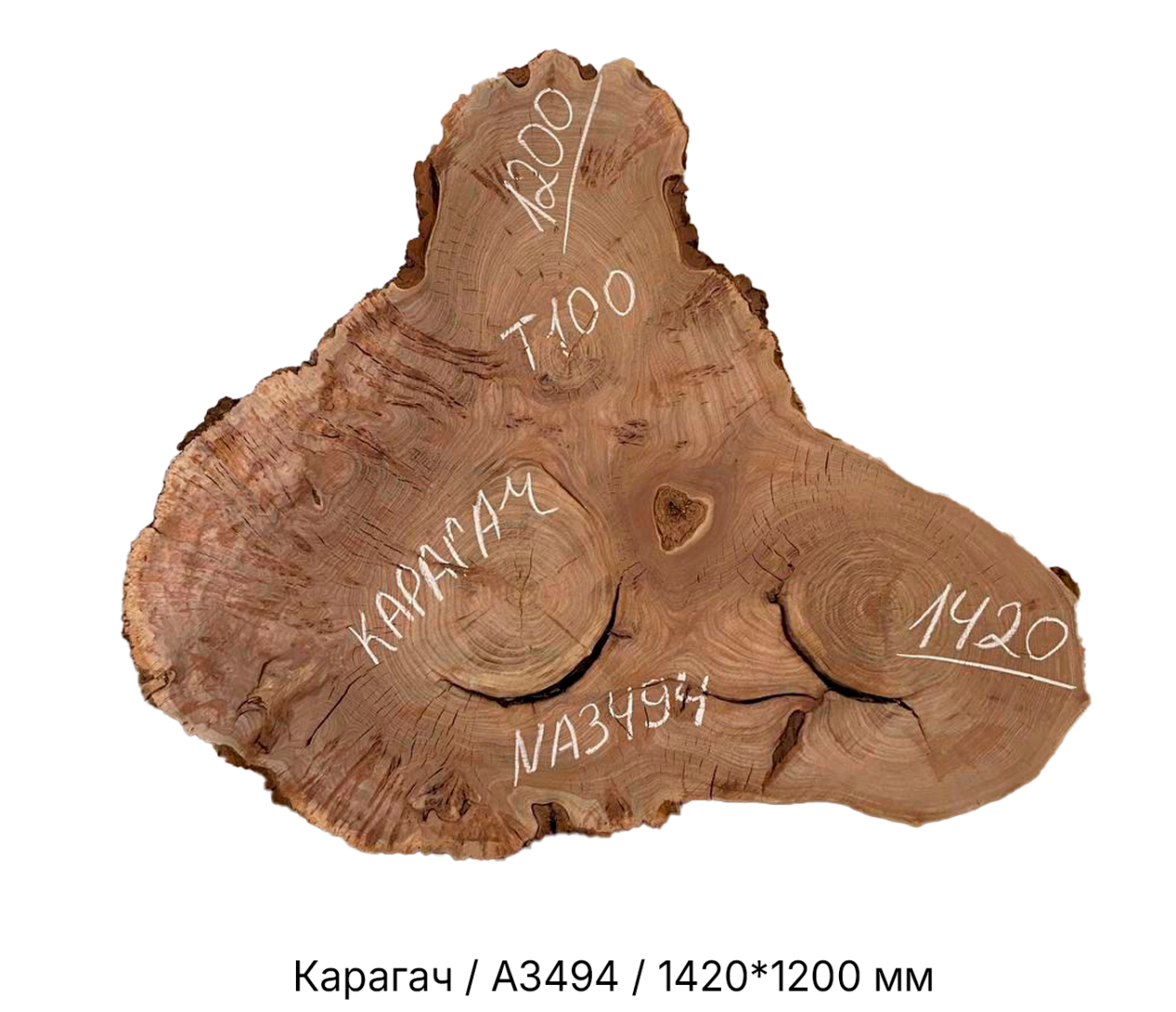 Слэбы и спилы деревьев - Спилы и слэбы из дерева купить в Москве, СПБ и Курске. У нас вы можете подобрать и купить слэб дуба, слэб карарагач и других пород дерева.