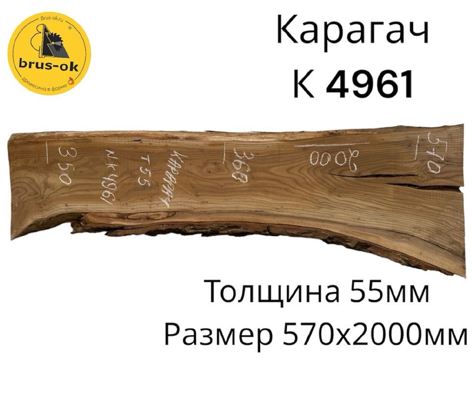 Слэбы и спилы деревьев - Спилы и слэбы из дерева купить в Москве, СПБ и Курске. У нас вы можете подобрать и купить слэб дуба, слэб карарагач и других пород дерева.