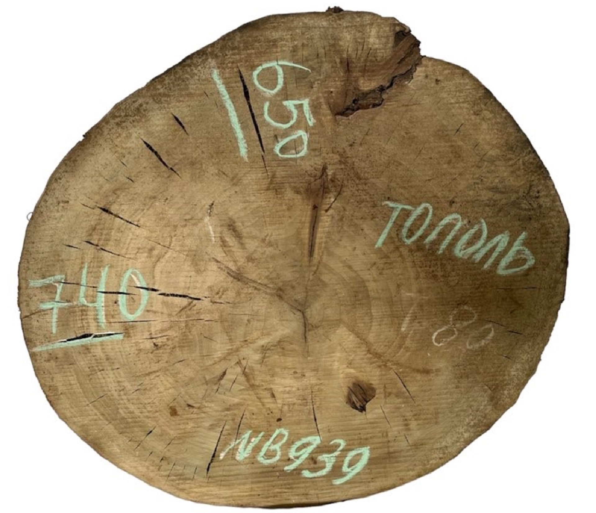 Слэбы и спилы деревьев - Спилы и слэбы из дерева купить в Москве, СПБ и Курске. У нас вы можете подобрать и купить слэб дуба, слэб карарагач и других пород дерева.