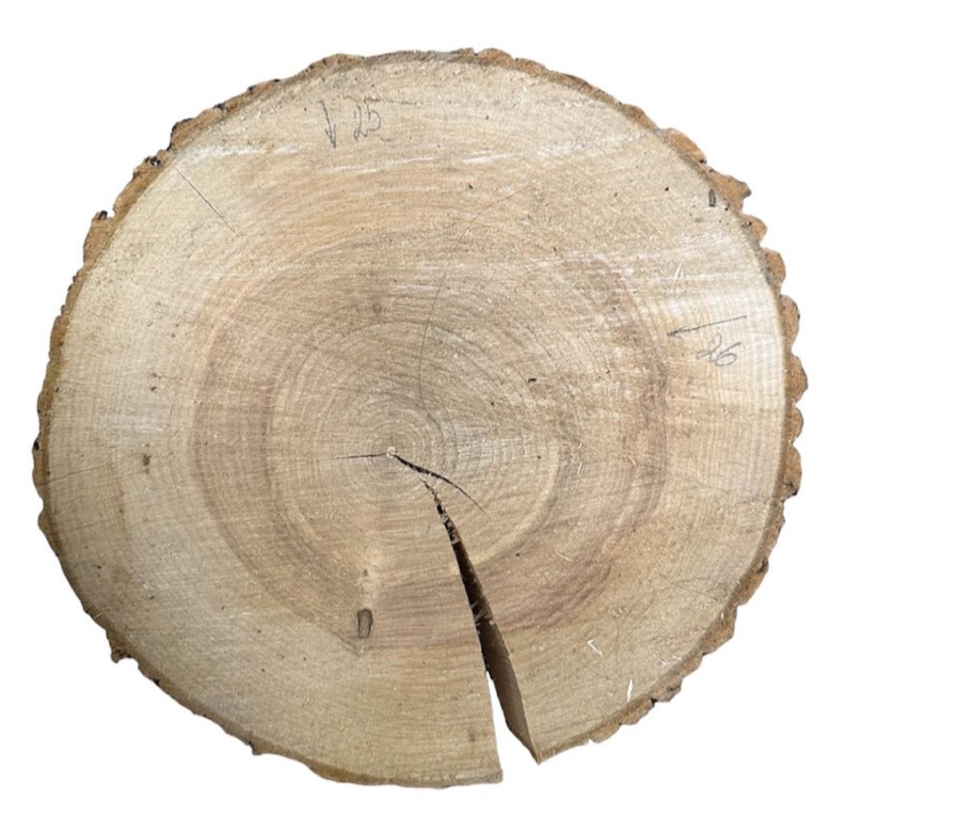 Слэбы и спилы деревьев - Спилы и слэбы из дерева купить в Москве, СПБ и Курске. У нас вы можете подобрать и купить слэб дуба, слэб карарагач и других пород дерева.