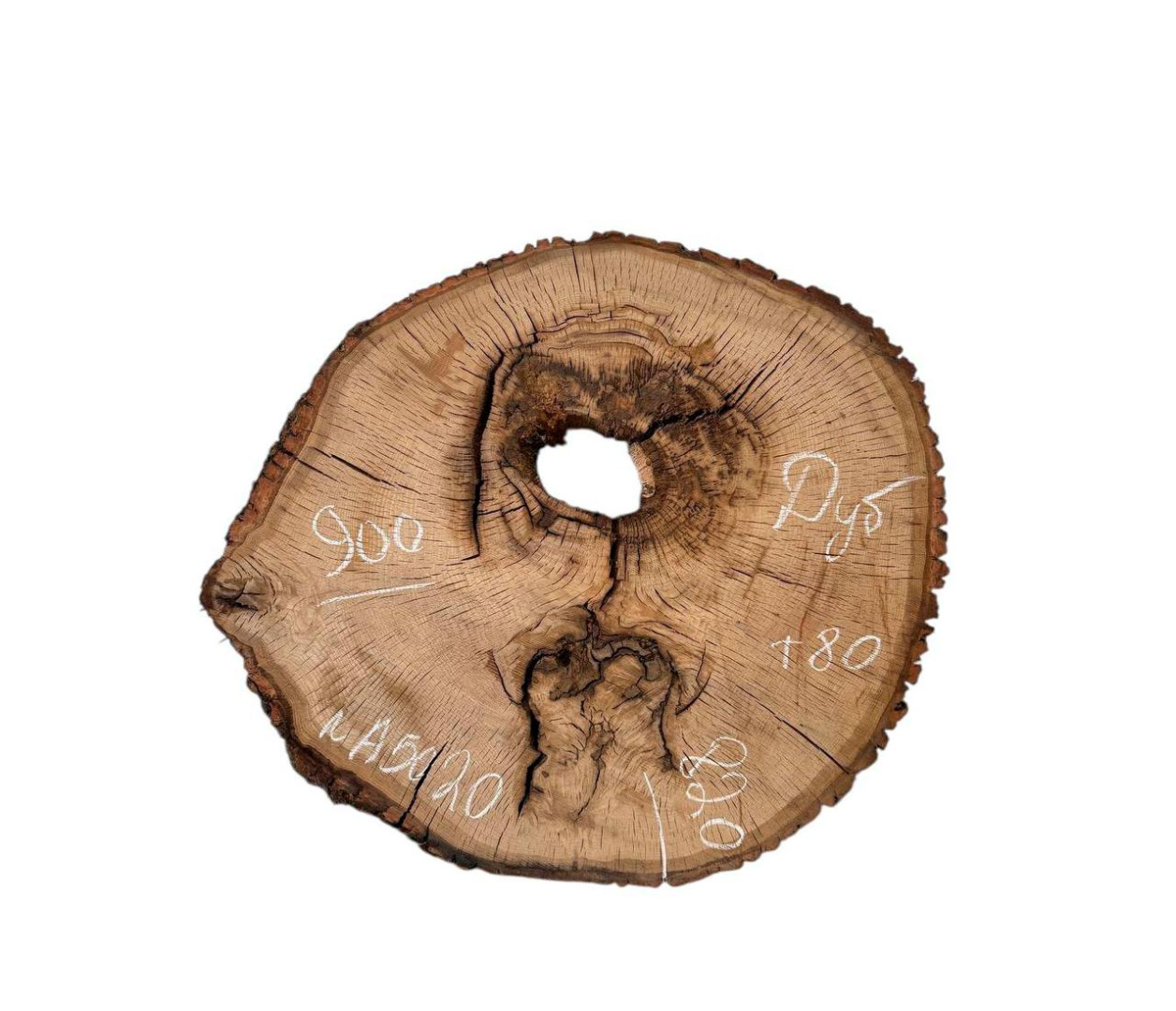 Слэбы и спилы деревьев - Спилы и слэбы из дерева купить в Москве, СПБ и Курске. У нас вы можете подобрать и купить слэб дуба, слэб карарагач и других пород дерева.