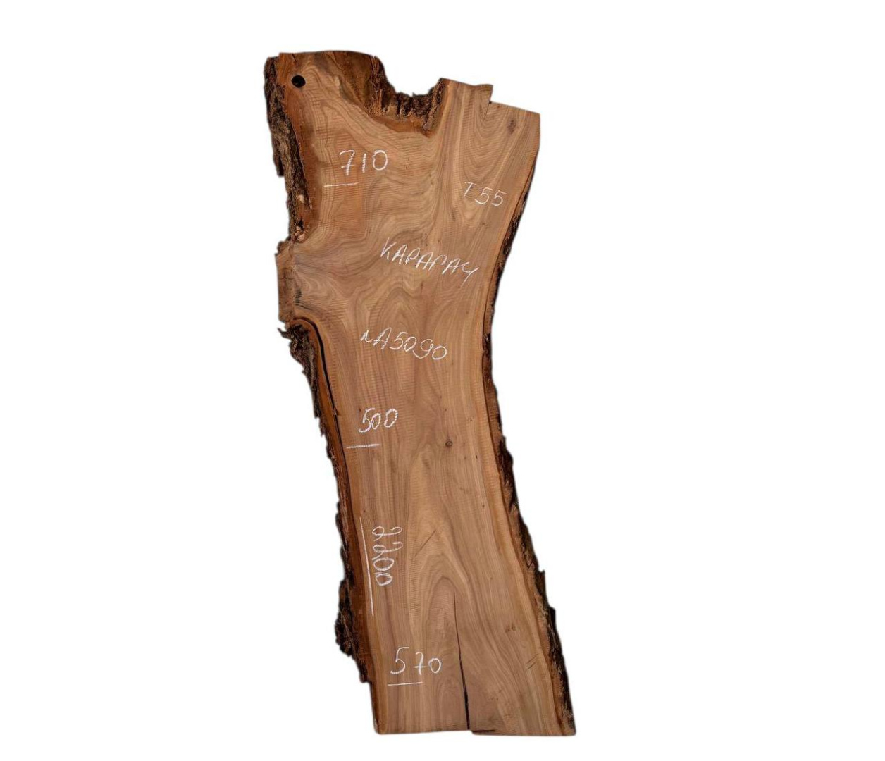 Слэбы и спилы деревьев - Спилы и слэбы из дерева купить в Москве, СПБ и Курске. У нас вы можете подобрать и купить слэб дуба, слэб карарагач и других пород дерева.