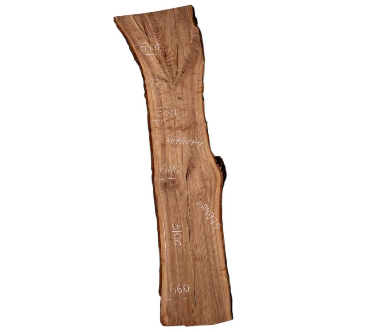 Слэбы и спилы деревьев - Спилы и слэбы из дерева купить в Москве, СПБ и Курске. У нас вы можете подобрать и купить слэб дуба, слэб карарагач и других пород дерева.